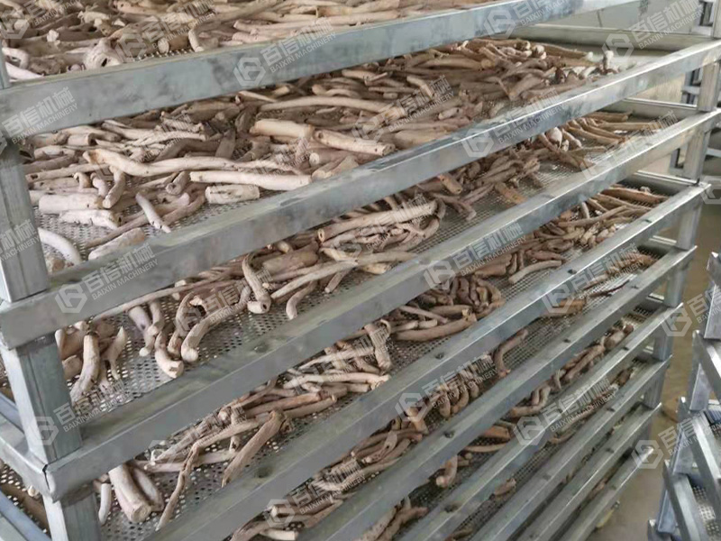 白術烘干機